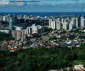 puzzel Manaus, Brazilië