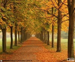 puzzel Manier onder bomen in de herfst