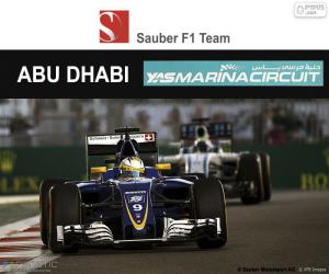 puzzel Marcus Ericsson, Grand Prix van Abu Dhabi 2016