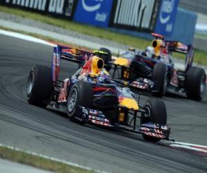 puzzel Mark Webber - Red Bull - Istanbul 2010