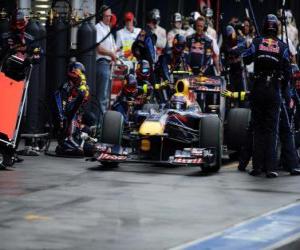 puzzel Mark Webber - Red Bull - Melbourne 2010