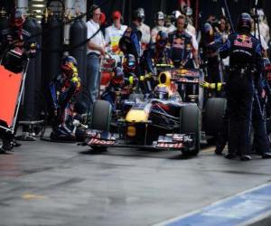 puzzel Mark Webber - Red Bull - Melbourne 2010