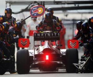 puzzel Mark Webber - Red Bull - Shanghai, 2011