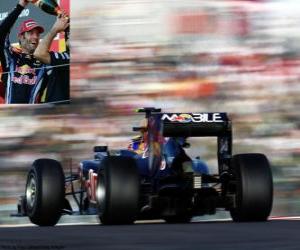 puzzel Mark Webber - Red Bull - Suzuka 2010 (Ingedeeld 2 º)