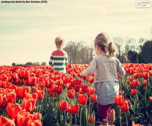 puzzel Meisjes tussen de tulpen