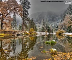 puzzel Merced River, Californië