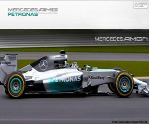 puzzel Mercedes AMG F1 W05 - 2014 -