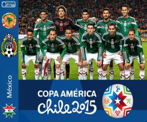 puzzel Mexico Copa America 2015