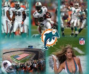 puzzel Miami Dolphins