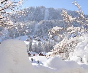 puzzel Mooi volledig besneeuwde landschap