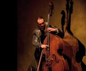 puzzel Musicus spelen de contrabas of doublebass