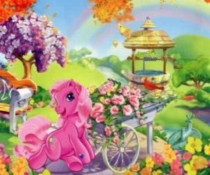 puzzel My little pony omgeven door bloemen