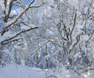 puzzel Na de sneeuwval