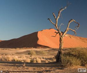 puzzel Namibwoestijn, Namibië