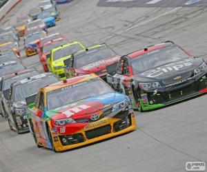 puzzel NASCAR Sprint Cup Series