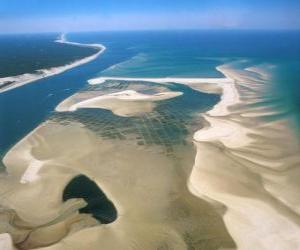 puzzel Nationaal park Banc d'Arguin, gelegen langs de Atlantische kust. Mauritanië.