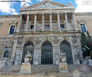 puzzel Nationale bibliotheek van Spanje, Madrid