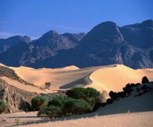 puzzel Natuurreservaten van de Air en Tenere, Niger