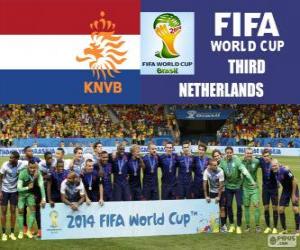 puzzel Nederland 3e ingedeeld van de Brazilië 2014 Football World Cup