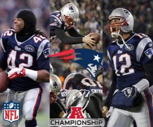 puzzel New England Patriots AFC kampioen 2011