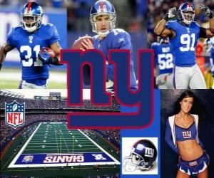 puzzel New York Giants