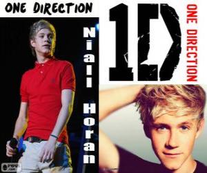 puzzel Niall Horan, One Direction
