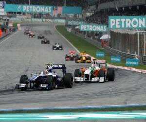 puzzel Nico Hülkenberg - Williams - Sepang 2010