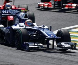 puzzel Nico Hülkenberg - Williams - Interlagos 2010