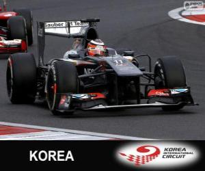 puzzel Nico Hülkenberg - Sauber - Korea internationale Circuit, 2013