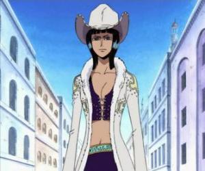 puzzel Nico Robin, archeoloog van de bemanning van de Straw Hat Pirates
