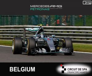 puzzel Nico Rosberg, GP België 2015