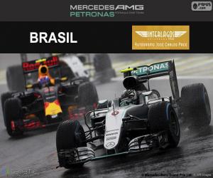 puzzel Nico Rosberg, Grand Prix van Brazilië 2016