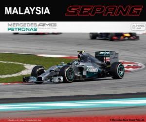 puzzel Nico Rosberg - Mercedes - Grand Prix van Maleisië 2014, 2º ingedeeld