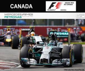 puzzel Nico Rosberg - Mercedes - Grand Prix van Canada 2014, 2º ingedeeld