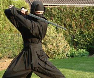 puzzel Ninja strijder en het gevecht met de katana