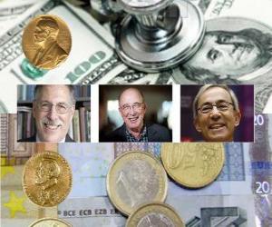 puzzel Nobelprijs voor de Economie 2010 - Peter A. Diamond, Dale T. Mortensen en Christopher A. Pissarides -