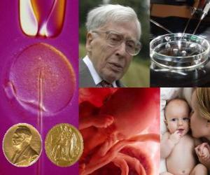puzzel Nobelprijs voor de Geneeskunde 2010 - Robert Edwards -