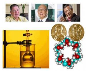 puzzel Nobelprijs voor de Scheikunde 2010 - Richard Heck, Eiichi Negishi en Suzuki Akira -