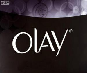 puzzel Olay logo