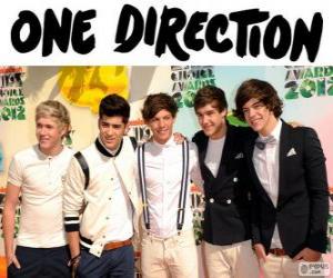 puzzel One Direction is een boy band britanica-irlandesa