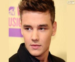 puzzel One Direction, Liam Payne