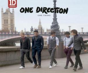 puzzel One Thing, One Direction