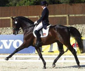 puzzel Paard en ruiter het uitvoeren van een oefening dressuur