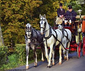 puzzel Paard en wagen