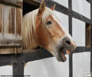 puzzel Paard in de stal