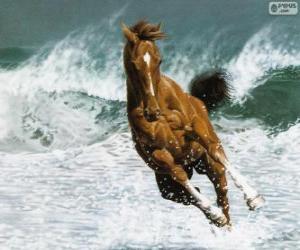 puzzel Paard uitgevoerd in de golven