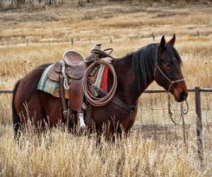 puzzel Paard van een cowboy