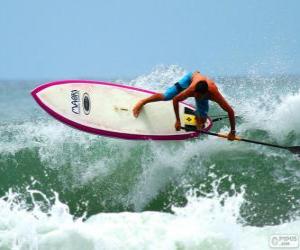 puzzel Paddle surf