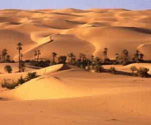 puzzel Palmbomen in de duinen van de woestijn