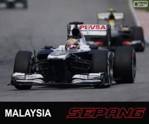 puzzel Pastor Maldonado - Williams - Sepang 2013